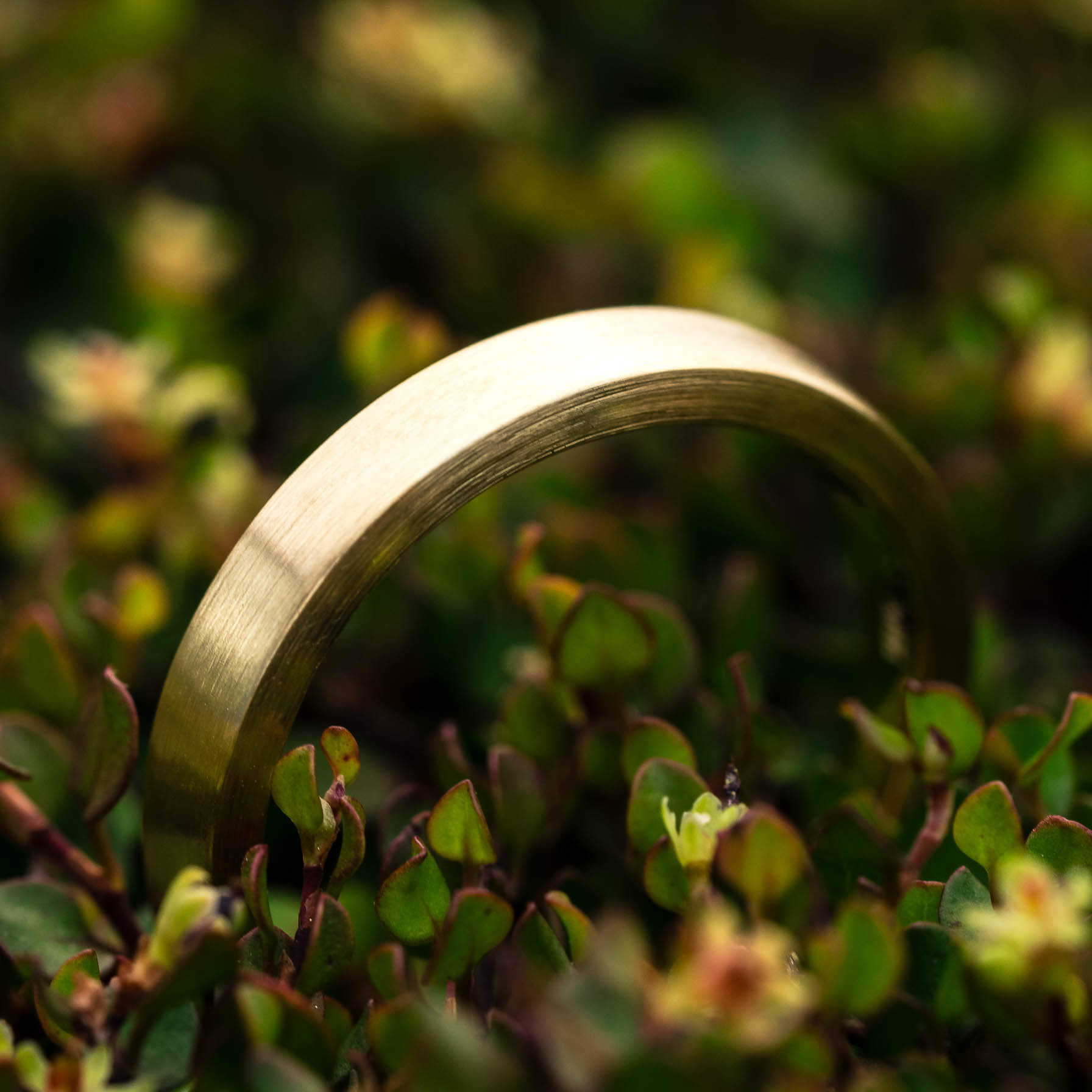 Ehering 750 Goldmatt Mann