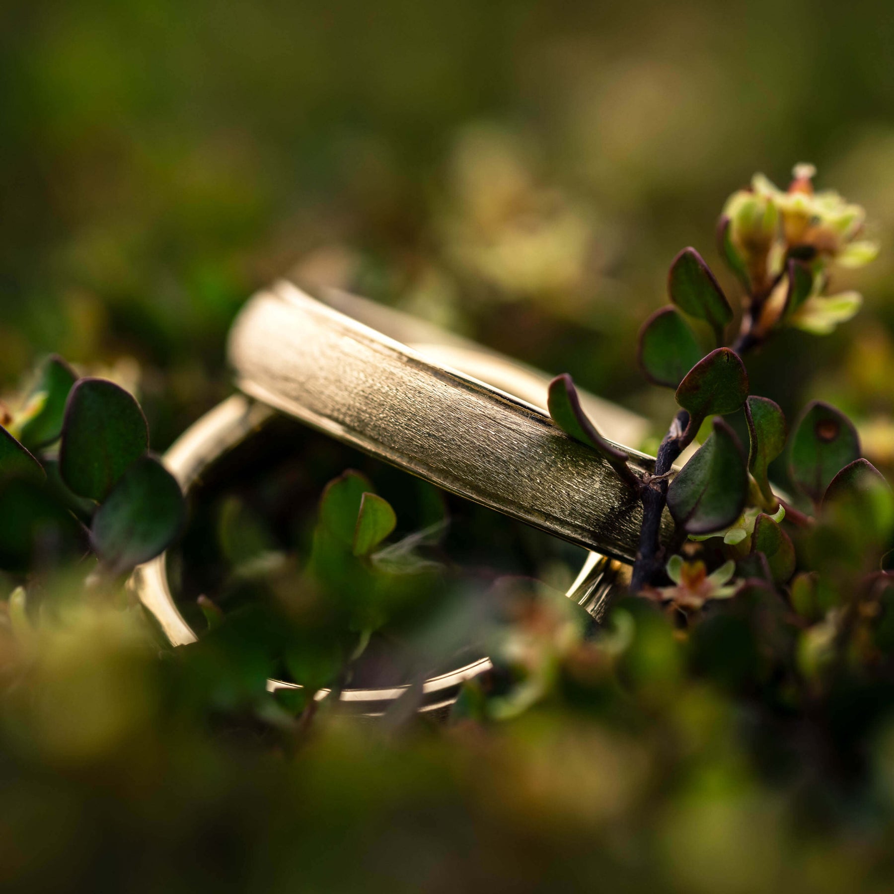 Eheringe 750 Eco Gold gebuerstet