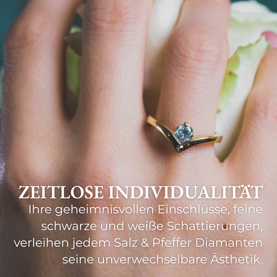 Salz Pfeffer Diamant Ring Gold Brillant