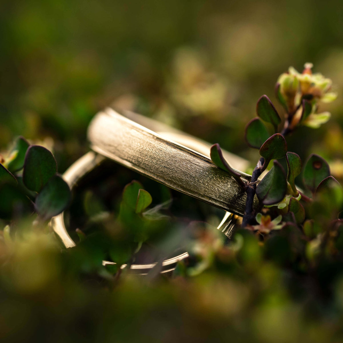 Eheringe 750 Eco Gold gebuerstet
