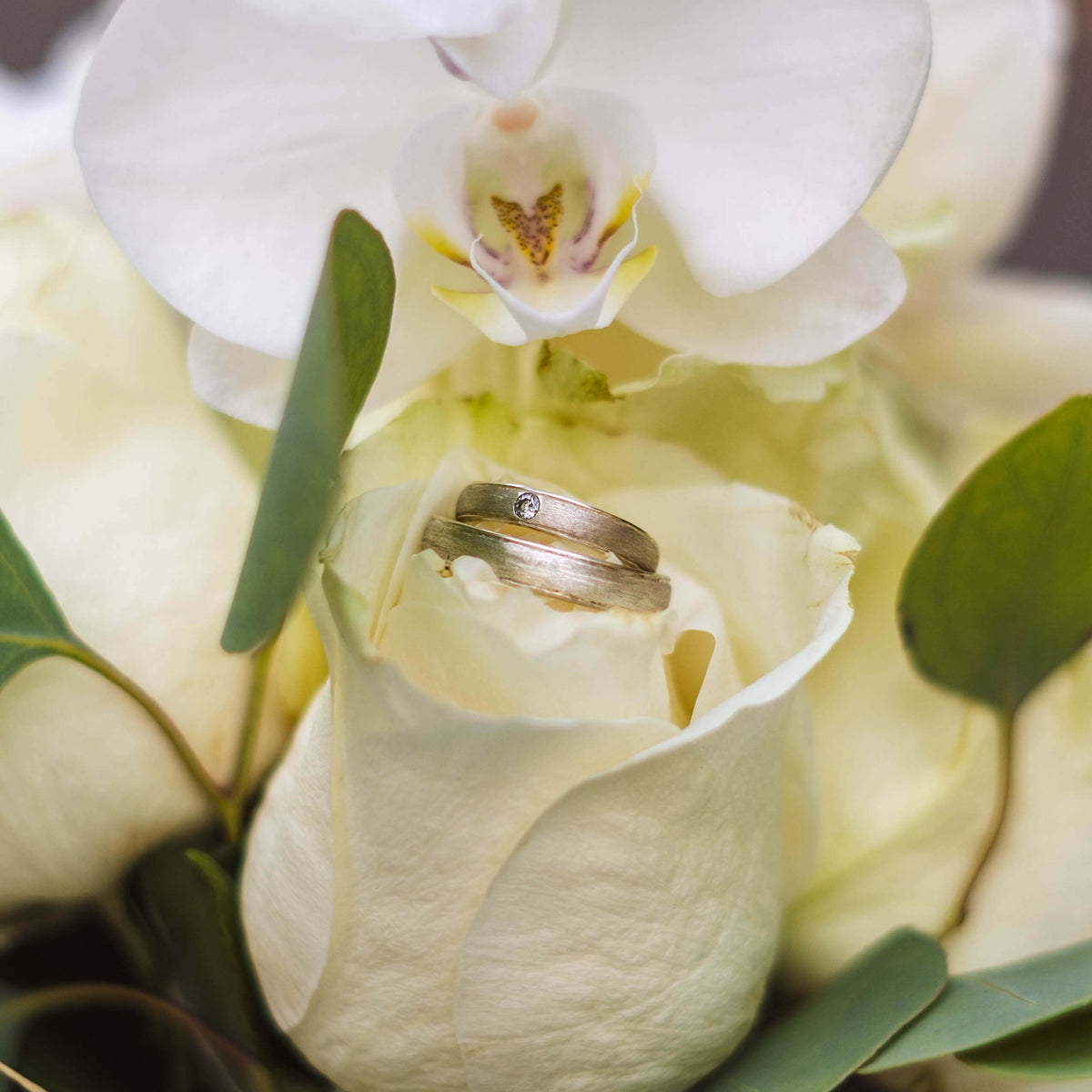   Rose Ringe Gold